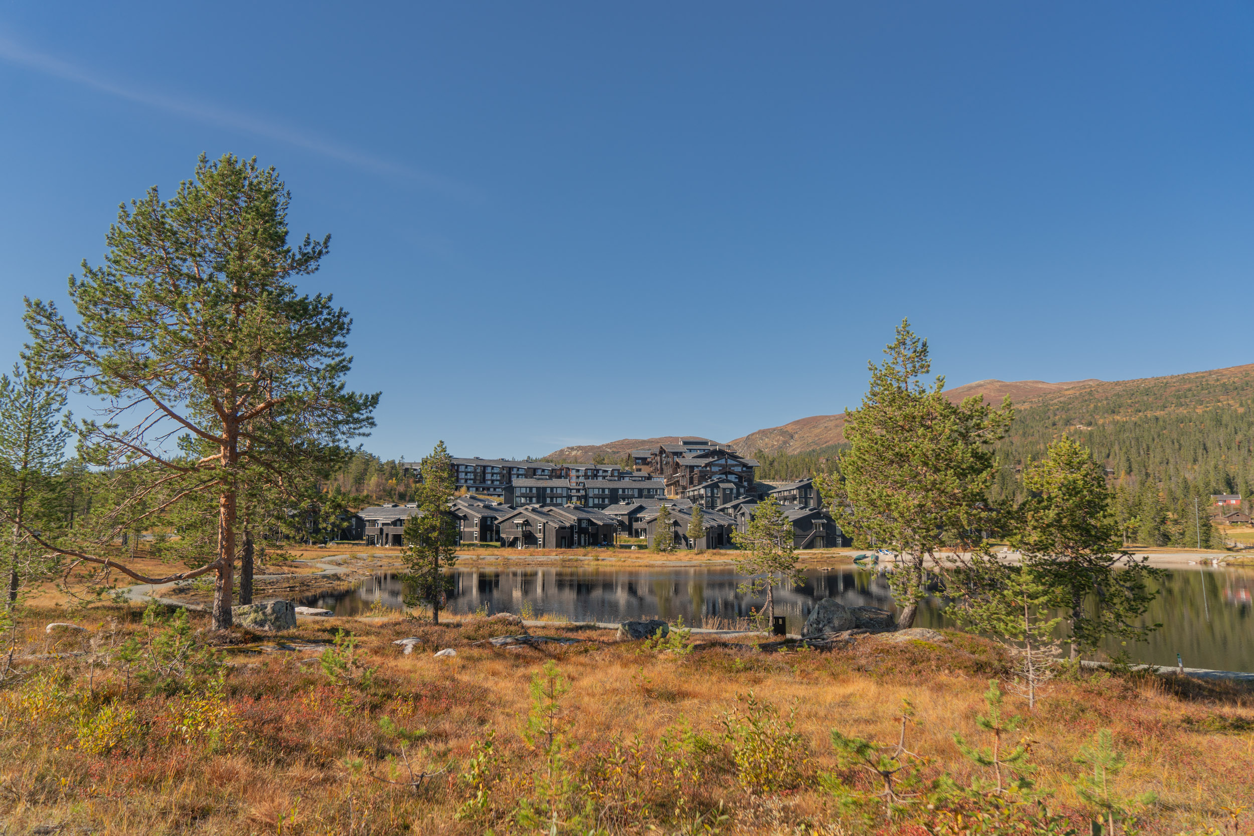 Høst på Norefjell