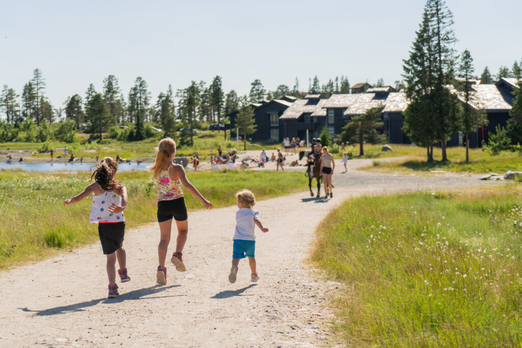 Seterliv på Norefjell Ski & Spa