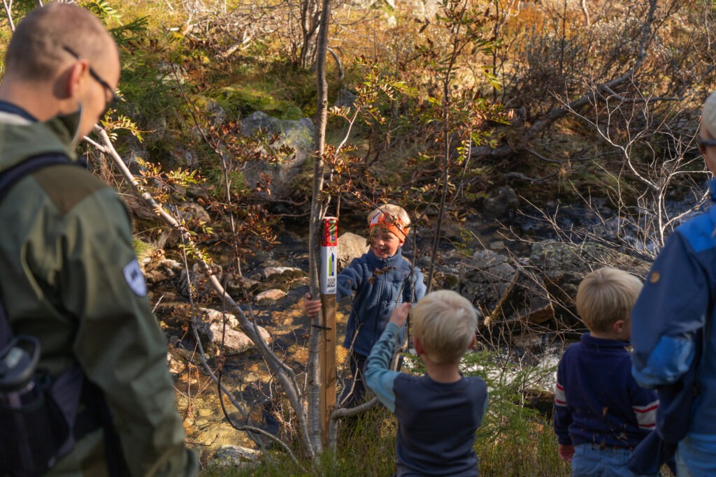 Stolpejakten på Norefjell